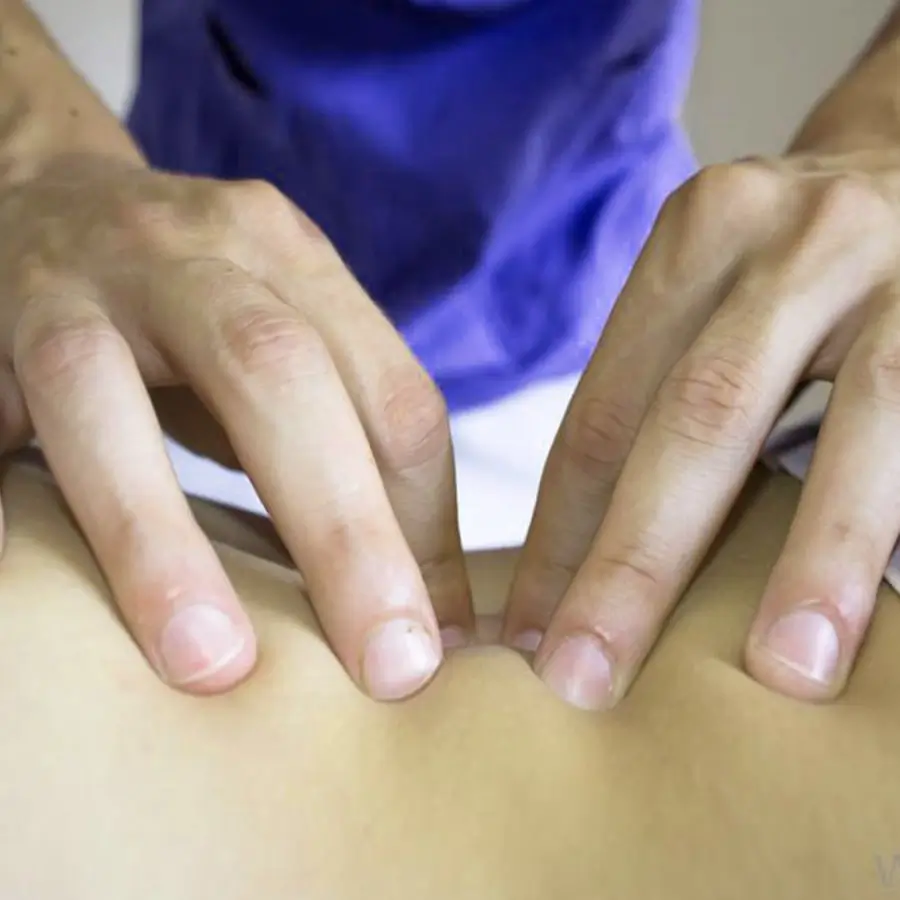 Shiatsu Masajı Eğitimi